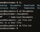 O Linux from Scrach 12.4 mantém a CLI viva, mas oferece caminhos para uma distro autoconstruída com todos os recursos (Fonte da imagem: Gerado usando OpenAI)