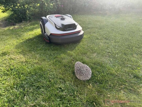 A detecção do igel por meio das duas câmeras funcionou excepcionalmente bem.