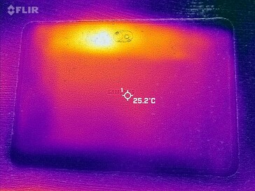 Mapa de calor das costas