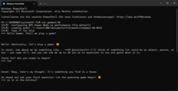 FastFlowLM no Windows PowerShell