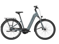 Strong EVO 5F Lite: A E-bike pode ser carregada com uma grande quantidade de bagagem. (Fonte da imagem: Pegasus)
