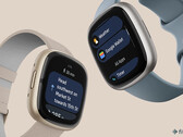 Agora você pode usar o Google Wallet para fazer pagamentos sem contato em seu Fitbit Sense 2 ou Versa 4 smartwatch. (Fonte de imagem: Fitbit)