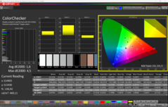 CalMAN ColorChecker (P3)