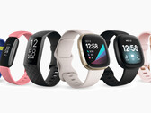 A última rodada de atualizações da Fitbit visa questões de segurança para muitos de seus artigos de desgaste. (Fonte de imagem: Fitbit)