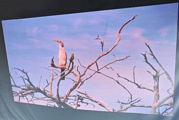 Tela de projeção externa (luz do dia) (Fonte da imagem: Daniel Schmidt)