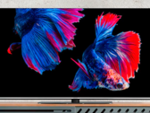 A TV inteligente MEDION LIFE OLED suporta Dolby Vision e Dolby Atmos. (Fonte de imagem: MEDION)