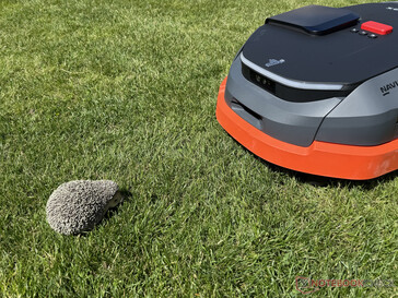 O Navimow X3 detectou com sucesso o boneco de ouriço
