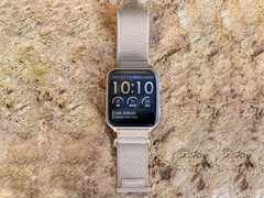 A Garmin relançou o Venu X1 com uma nova opção de cor (Fonte da imagem: Garmin)