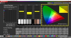 CalMAN ColorChecker calibrado