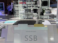 A bateria de estado sólido Sunwoda. (Fonte da imagem: CNEVPost)