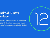 Os proprietários de OnePlus e Xiaomi devem estar cientes de que o flasheo Android 12 Beta 1 poderia tijolo seu dispositivo. (Fonte da imagem: Google)