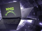 A linha atual do XMG Pro. (Fonte: Schenker)
