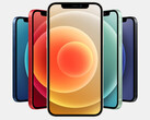 Apple O iPhone 12 e outros modelos aparentemente sofrem de problemas de drenagem de bateria no iOS 14.2 (Fonte: Apple)