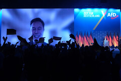 As vendas da Tesla despencam na Europa: As atividades políticas de Elon Musk parecem prejudicar a empresa