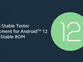 Xiaomi abriu o site Android 12 testes para mais três smartphones de bandeira. (Fonte da imagem: Xiaomi)