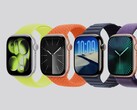 Espera-se que o Apple Watch Series 11 tenha uma bateria com duração de 24 horas pela primeira vez. (Fonte da imagem: Apple)
