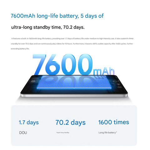 Detalhes da bateria (tradução automática)