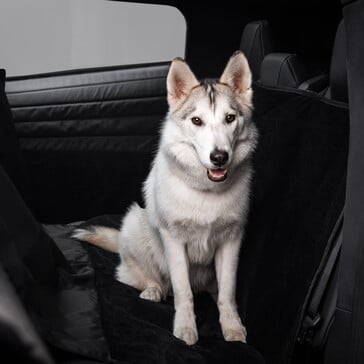 Forro para animais de estimação do Cybertruck