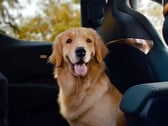 Zeekr X tem bancos dobráveis elétricos para caber em seu animal de estimação (imagem: Geely)