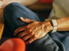 A Garmin poderá em breve apresentar uma alternativa ao Polar Loop mostrado aqui.