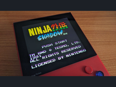 Uma imagem do Ninja Gaiden Shadow DX no X (fonte da imagem: Marc Max)