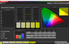 CalMAN Saturação calibrada
