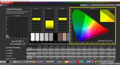 CalMAN ColorChecker (perfil: Display P3, espaço de cor alvo: P3)