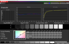 CalMAN escala de cinza calibrada