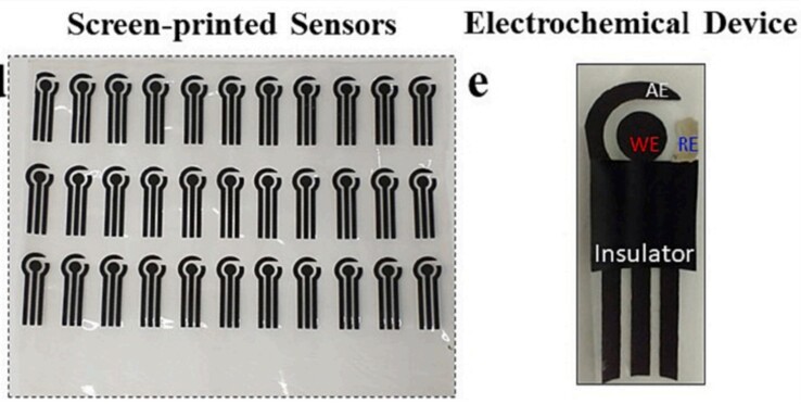 O sensor vestível de plantas é feito de acetato de celulose biodegradável (derivado de polpa de madeira) e carbono. (Fonte: artigo de S.C. Teixeira et al. na Biomaterials Advances)