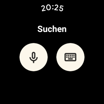 Você pode criar entradas no Pixel Watch através do comando de voz ou do teclado.