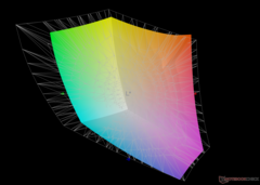 vs. Adobe RGB: 76,5% de cobertura