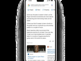 O Google Bard pode destilar informações para oferecer percepções significativas na busca de conversas. (Fonte de imagem: Google)