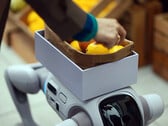 O robô humanóide T1, capaz de se transformar em um cão robótico
