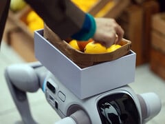 O robô humanóide T1, capaz de se transformar em um cão robótico