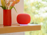 O alto-falante Google Home em Berry. (Fonte da imagem: Google)
