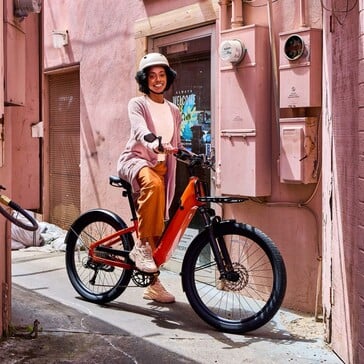 A e-bike Momentum Vida E+ pode suportar uma carga útil máxima de até 136 kg (Fonte da imagem: Momentum)