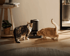 Alimentador inteligente para animais de estimação Petlibro. Algumas unidades não conseguem distribuir ração devido à falta de energia.