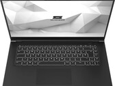 A Schenker poderá em breve adicionar opções de exibição OLED em laptops baseados em AMD. (Fonte de imagem: Schenker)