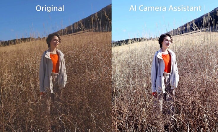 O assistente de câmera com IA da Sony nem sempre oferece as configurações ideais.