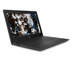 HP Chromebook 11 G9 Education Edition agora vem com as opções MediaTek e Celeron (Fonte: HP)