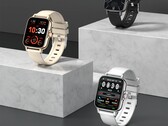 O smartwatch 696 WL21 está listado como tendo sensores de freqüência cardíaca, pressão sanguínea e nível de oxigênio no sangue. (Fonte de imagem: 696)
