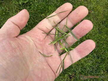 ...do que esperávamos da função de cobertura morta anunciada.