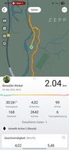 Amazfit Active 2: Treinamento