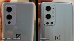 O aparente OnePlus 9 e OnePlus 9 Pro, da esquerda para a direita. (Fonte da imagem: Dave Lee)