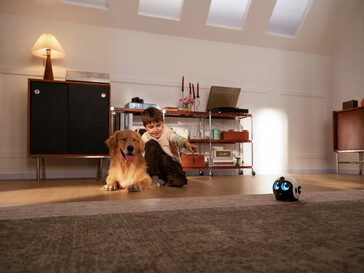 Companheiro de estimação 