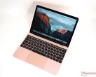 Um MacBook Pro de 12 polegadas pode chegar após o MacBook Pro 14 e MacBook Pro 16 atualizarem. (Fonte da imagem: NotebookCheck)