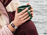 A Fitbit lançou novos rostos de relógio para o Charge 5 e o Luxe, anteriormente retratado. (Fonte da imagem: Fitbit)