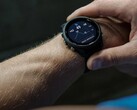 O smartwatch Garmin Forerunner 255 está recebendo a versão beta 15.18. (Fonte da imagem: Garmin)