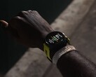 A Garmin lançou a versão beta 19.13 para os smartwatches Forerunner. (Fonte da imagem: Garmin)
