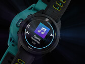 A série Forerunner 265 vem em dois tamanhos e múltiplas combinações de cores. (Fonte da imagem: Garmin)
